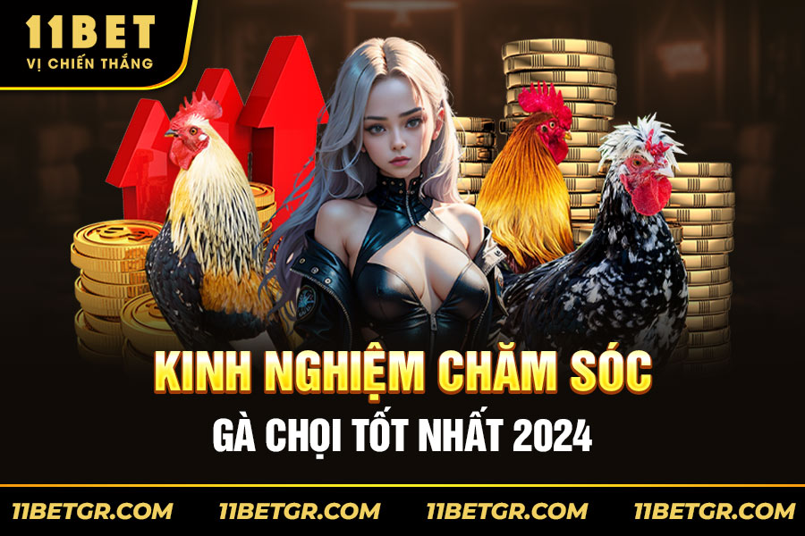 Kinh-Nghiệm-Chăm-Sóc-Gà-Chọi-Tốt-Nhất-2024